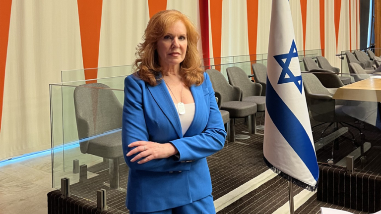 LIZ CLAMAN: ‘Fury and confusion.’ Antisemitism, Israel and my October UN experience